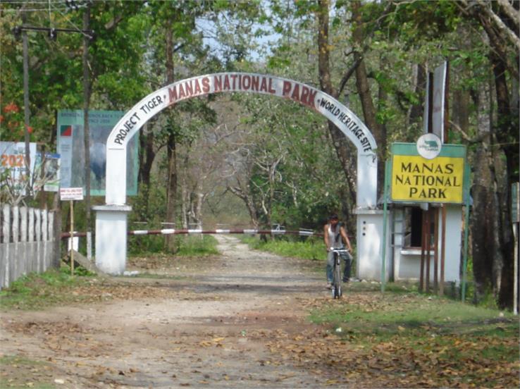 manas national park